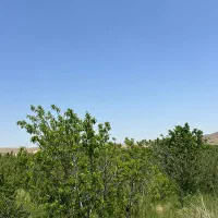 بهترین لوکیشن برای ویلا سازی پشت پمپ بنزین جدید|فروش خانه و ویلا|اهر, |دیوار
