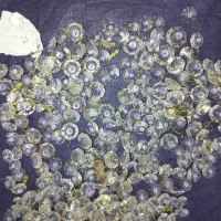 کریستال شمعی و اویزی و ستاره ای|لوستر و چراغ آویز|پاکدشت, پاکدشت (مامازند)|دیوار