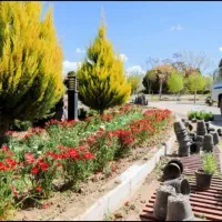 باغبانی،حرص،کوددهی،گلکاری وگل فروشی|خدمات باغبانی و درختکاری|کاشان, مفتح|دیوار