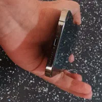 iPhone 12 pro max|موبایل|شیراز, شهرک پرواز|دیوار