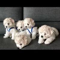 یک به یک خشکل و تو دل برو