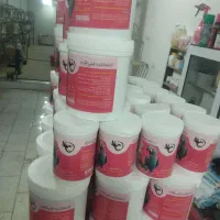 11عددکوتوله برزیلی فول فول اهلی آیهان|پرنده|خوی, |دیوار