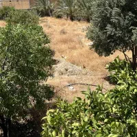 باغ-زمین
