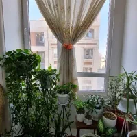 100متر-تک-واحدی-تمییز-فول-املاک-نوری