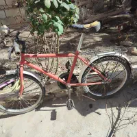 سه عدد دوچرخه