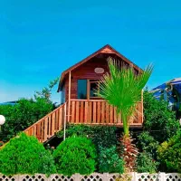 ساخت کلبه چوبی وخدمات نجاری|خدمات پیشه و مهارت|دزفول, |دیوار