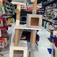 اسکرچر پیشی/ باکس دار