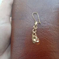 گوشواره گم شده