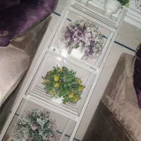 نردبان گل|صنایع دستی و سایر لوازم تزئینی|زابل, |دیوار