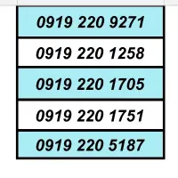 0919.5051541|سیم‌کارت|تهران, تهرانسر مرکزی|دیوار