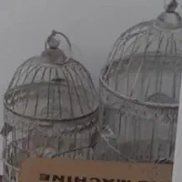 قفس پرنده