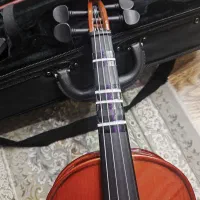 ویولون ۳/۴ از جنس چوب|ویولن|ارومیه, |دیوار