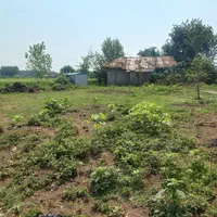 خونه کلنگی ۱۲۰۰ متری با کنتور برق رشت/ خشکبیجار|فروش زمین و ملک کلنگی|رشت, بوسار|دیوار