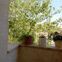 فاز ۳ خیابان معلم دو خواب