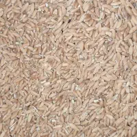 گندم قیمت توافقی