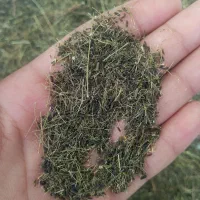 زیره کوهی اصل