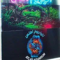 آکواریوم اطلس