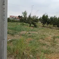 زمین،باغی سندششدانگ تک برگ،براتوبان اصلی|فروش زمین و ملک کلنگی|بندر گز, |دیوار