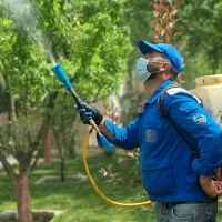 کلیه خدمات باغبانی درخت کاری سمپاشی گلکاری کود