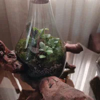 تراریومهای خاص|صنایع دستی و سایر لوازم تزئینی|مشهد, امیریه|دیوار