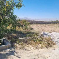 ۶۴۰ متر زمینن باغ شهری|فروش زمین و ملک کلنگی|کوار, |دیوار