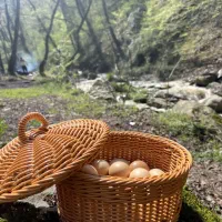 سبدهای دست بافت