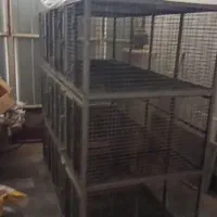 قفس مرغ و کبوتر|لوازم جانبی حیوانات|لاران, |دیوار