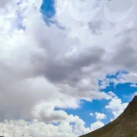 سرویس رفتو برگشت