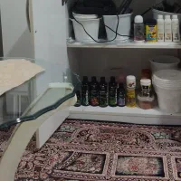 آکواریوم|ماهی|نقده, |دیوار