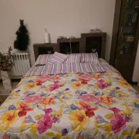 سرویس روتختی