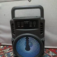 اسپیکر همراه رم و فلش خور