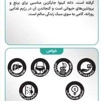 خاویار گیاهی|آرایشی، بهداشتی، درمانی|جیرنده, |دیوار