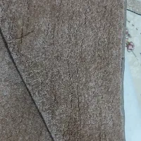 ظریف مصور