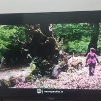 نکسار ۵۰ اینچ،فوق العاده تمیز،درحد آک