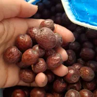 عناب|خوردنی و آشامیدنی|شیراز, شهرک بزین|دیوار