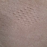 اسباب بازی نیه