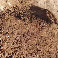 کودگوسفندی|خدمات باغبانی و درختکاری|شیراز, دوکوهک|دیوار