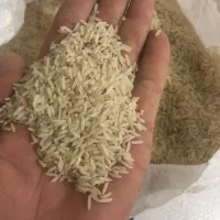 سلام سلام برنج سوزنی دانه درشتو پخت بیست