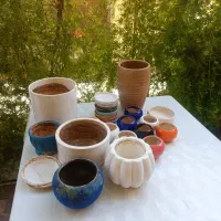 فروش تعدادی گلدان شیک و متنوع|گل و گیاه طبیعی|شیراز, شهرک فرهنگیان|دیوار