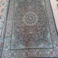 فرش قالیچه|فرش|ارومیه, |دیوار