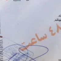 پژوپارس پرشیابی رنگ مدل۹۴دوگانه کارخانه فنی به شرط|خودرو سواری و وانت|کرج, گلشهر|دیوار