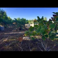 فروش یا معاوضه ویلا باغ با آپارتمان