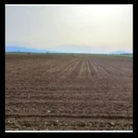 زمین باغی ۸۰۰ وایقان