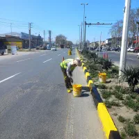کارگر ساده نقاشی بلوار و...