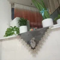 اجاره روزانه/ ساعتی آپارتمان سیدی