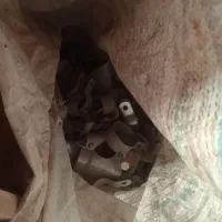 بست گلخانه  گالوانیزه  داربستی تک پیچ