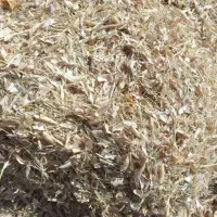 کاه لوبیا قرمز