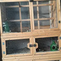 فروش جفتگاه و قفس پرنده