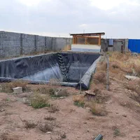 گلخانه فروشی|فروش دفتر صنعتی، کشاورزی، تجاری|اقبالیه, |دیوار