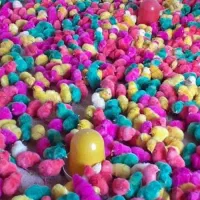 فروش جوجه رنگی و جوجه اردک